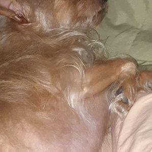 Meet your Posher, Mona